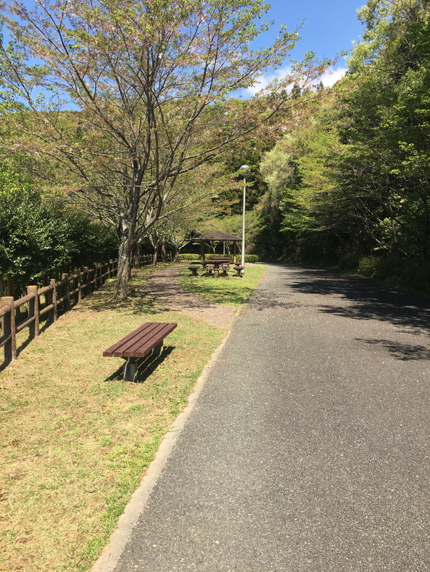 都田総合公園のウォーキング・ジョギングコース